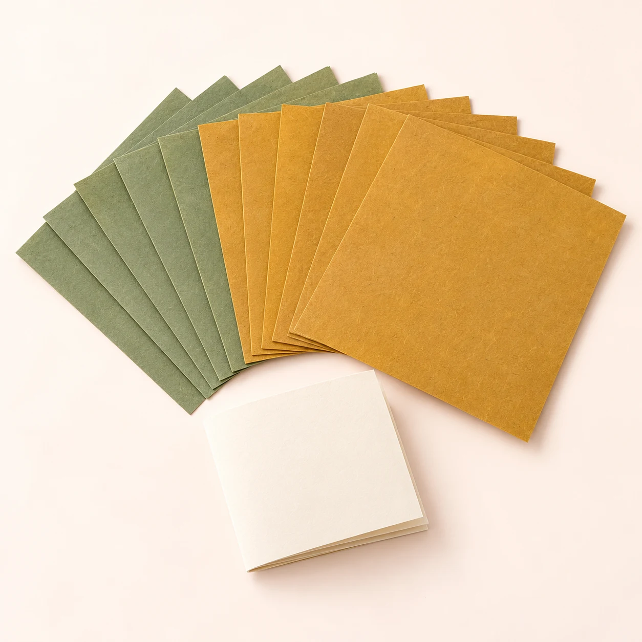 Folded leaf study kit
